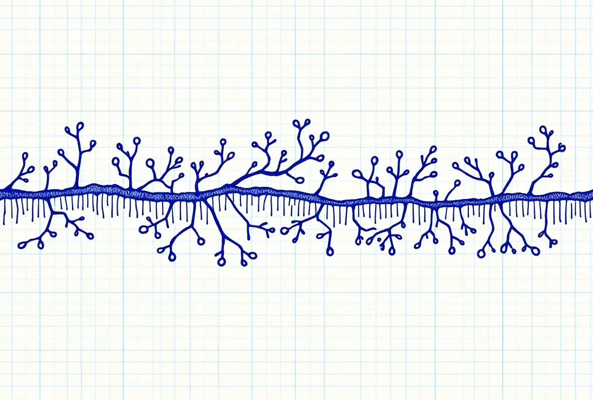 What the component research shows: tendon, vascular, and actin findings
